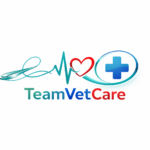 TeamVetCare entre prévention et soins curatif, assure le care et le cure.
